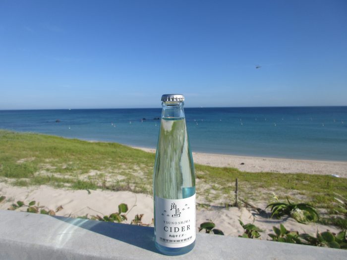 Seasid Interriors 海辺で暮らす　海辺の風景新品、 Seasid Interriors 海辺で暮らす 海辺の風景新品、